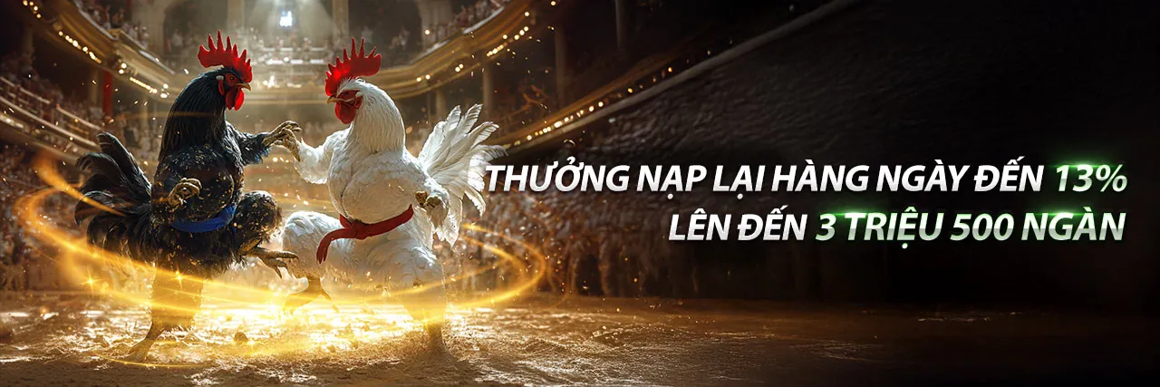 Giao diện đăng nhập bet11 win với các trò chơi cá cược trực tuyến