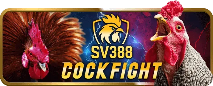 Bàn chơi Poker online 3D tại bet11 win
